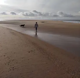 Impactante imagen compartida por B. R. del estado de la playa