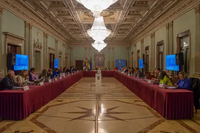 Pleno Extraordinario