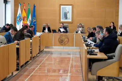 Plenario de la Diputación