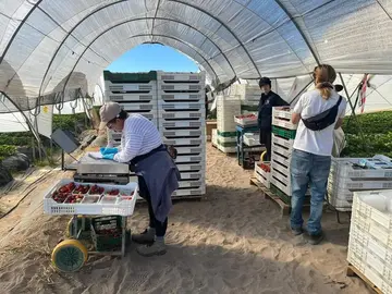 Trabajadoras del campo
