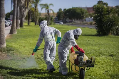Fumigaciones contra la proliferación de mosquitos