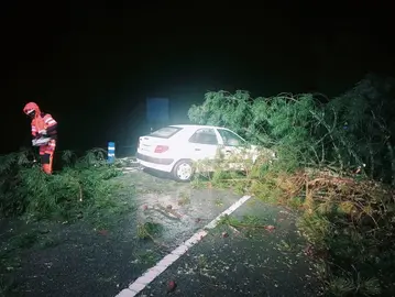 Caída de árboles y accidente en Jabugo (Foto: Consorcio Bomberos)
