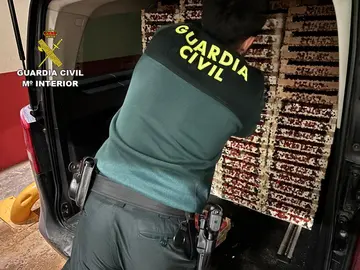 Un agente con parte de la carga intervenida