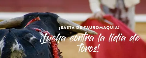 Web de la Fundación colaboradora de UNICEF