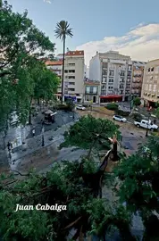 La Palmera, aun en pie, ante la desolación causada por Bernard