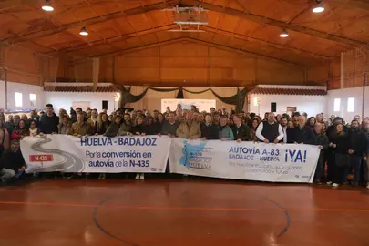 Concentración por el desdoble de la N-435