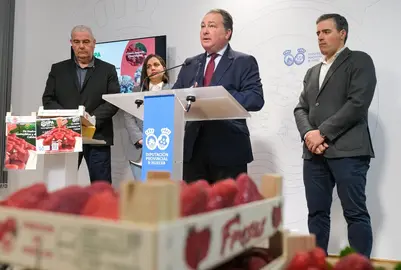 Presentacion-campana-fresa