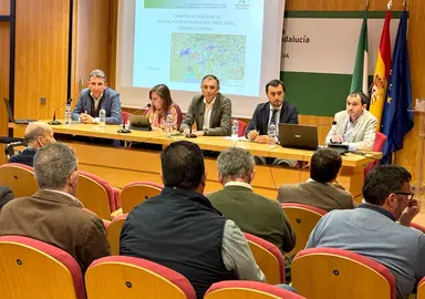 Comisión sequía Tinto, Odiel, Piedras y Chanza