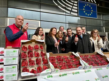 Unión para reforzar la imagen de la fresa de Huelva en Europa