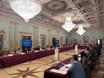 Sesión plenaria de marzo