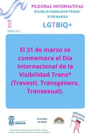 Publicación Día Visibilidad Trans