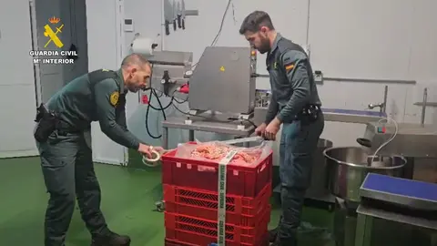 Agentes del Seprona inmovilizan la carne