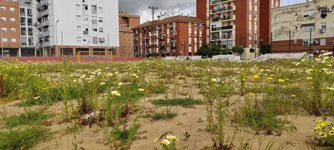 Campo fútbol playa denunciado hoy