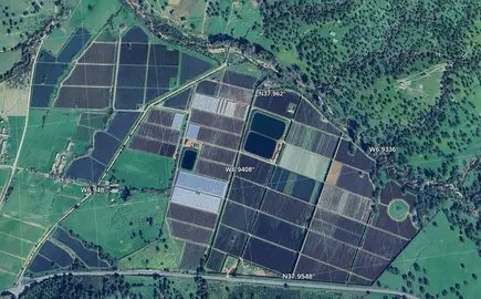 Ortoimagen de la finca la belleza