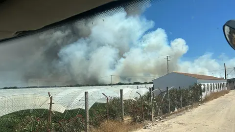 Imagen del incendio de ayer en el pareja de Las Malvinas en Moguer / Foto: Consorcio Provincial de Bomberos