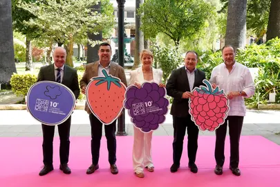 Presentación del Congreso Internacional de Frutos Rojos. / Fotografía: Diputación de Huelva
