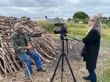 Instituto Andaluz de Patrimonio Hist&oacute;rico.