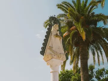 Replantación de la palmera en el real de El Rocío.