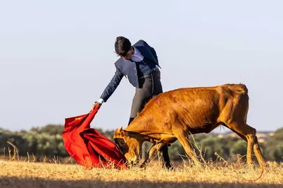Instante del certamen.