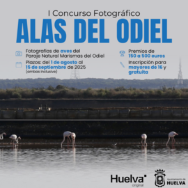 Concurso fotográfico Alas del Odiel.