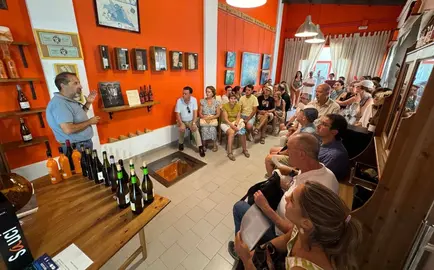 Cata de vinos del Condado.
