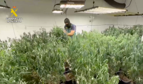 Operación antidroga en Gibraleón y Trigueros.