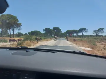 5a98bddd-a58c-4c11-a939-1f3929bb7b7a