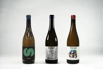 Los vinos palmerinos que han sido premiados / Fotografía: Ayuntamiento de La Palma del Condado.