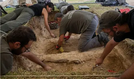 Exhumaciones en el Cementerio de la Soledad de Huelva / Fotografía: Junta de Andalucía.