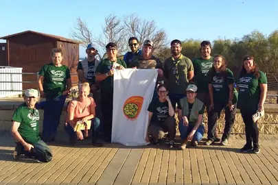 Censo del Camaleón Común en el sistema dunar de Islantilla