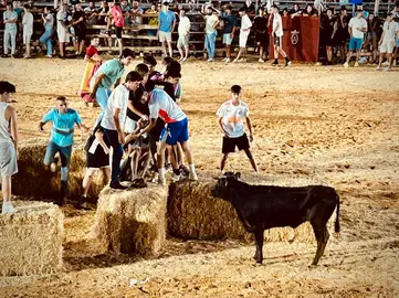 Fiestas Taurinas Tradicionales de Trigueros 2025 / Fotografías: Ayuntamiento de Trigueros