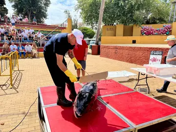 Isla Cristina, capital del atún. / Fotografía: Ayuntamiento de Isla Cristina.