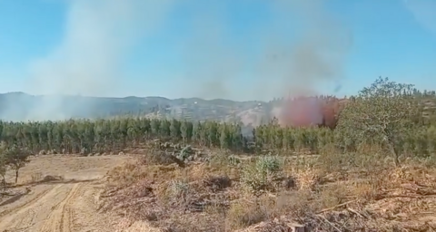 Incendio en Zalamea La Real.