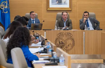 Pleno de la Diputación.