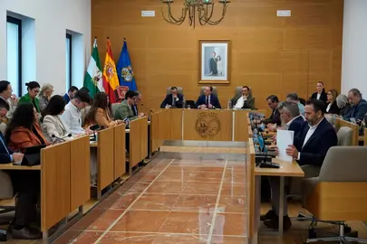 Pleno de la Diputación.