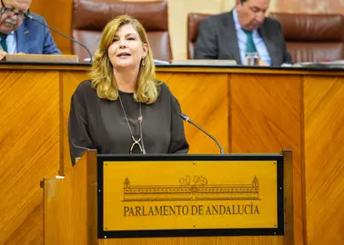 Berta Centeno Parlamento