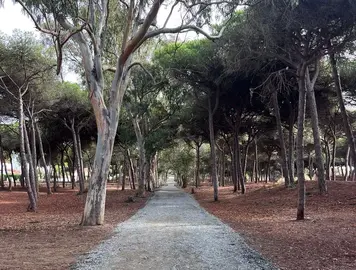 Camino La Redondela