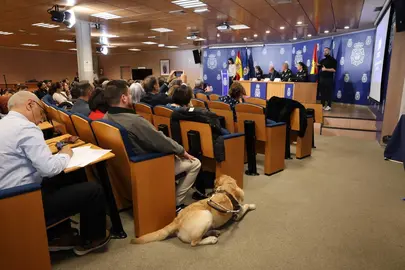 797433fb-a2c4-476a-a02f-d696dbd089a7