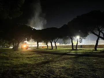 Tratamiento contra la procesionaria en Aljaraque / Fotografía: Ayuntamiento de Aljaraque.