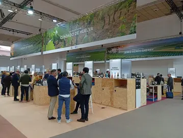 Sector vitivin&iacute;cola de Huelva.