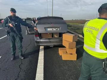 1851726c-151f-44f9-a752-e7808dfd520e