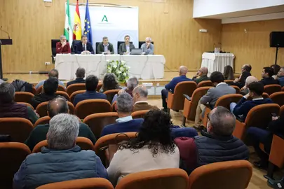 Ayudas de la Junta a los municipios