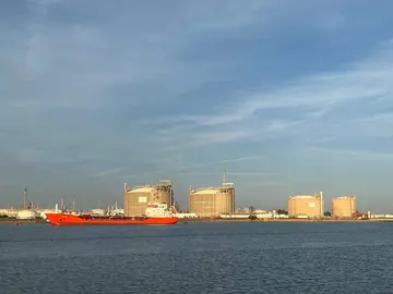 Buques de graneles en el Puerto de Huelva