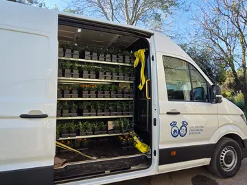 La Diputaci&oacute;n de Huelva inicia el reparto de m&aacute;s de 18.000 plantas de temporada a municipios y ELA