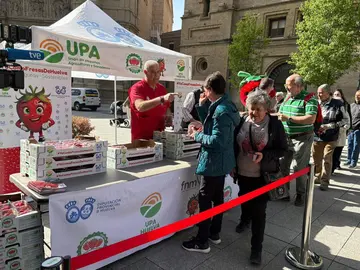 Reparto de fresas de Huelva en Zaragoza