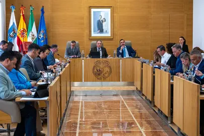 Pleno de la Diputaci&oacute;n