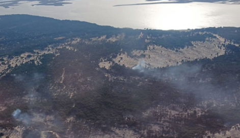 Incendio en el entorno de Do&ntilde;ana.