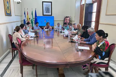 Pleno de San Juan del Puerto