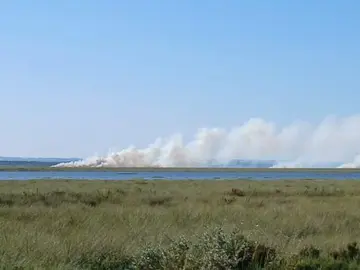 Incendio en Marismas del Burro.