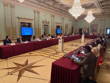 Pleno de junio